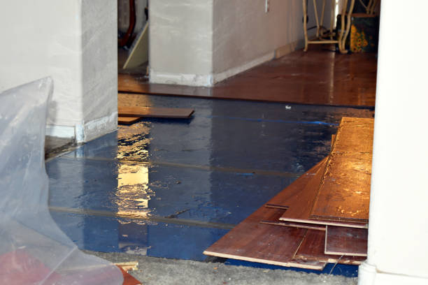 Professional Burst Pipe Cleanup technician working in Delhi, LA